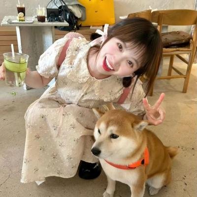 情已逝