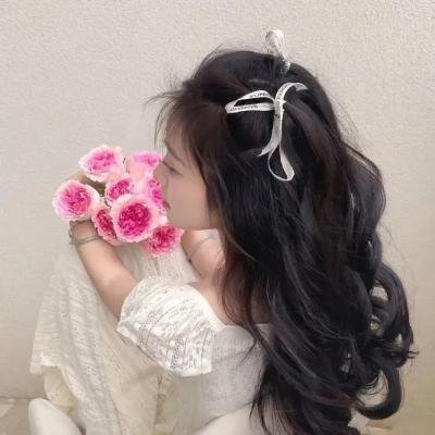 英雄崛起：秘密勇士